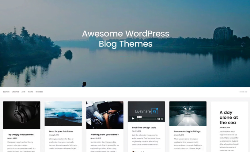 The_best_Premium_WordPress_blog_themes